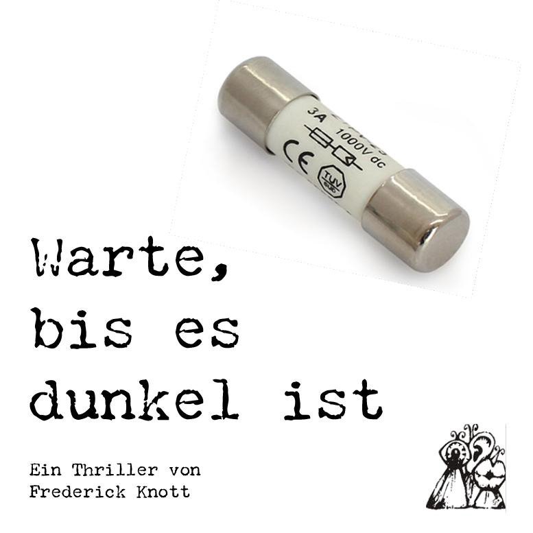 Image Warte, bis es dunkel ist – DFTG